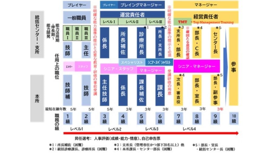 NOSAI北海道のキャリアマップ